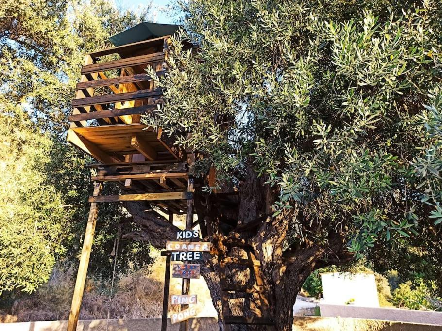 Villa Glamping In The Middle Of Nowhere à Paphos Extérieur photo